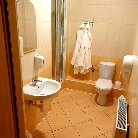 Palac Pod Debami מלון