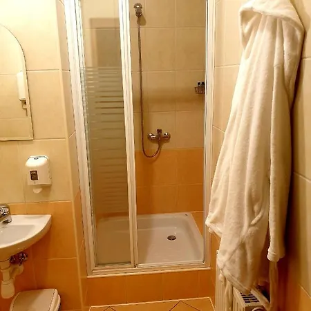 Palac Pod Debami מלון Zalasowa