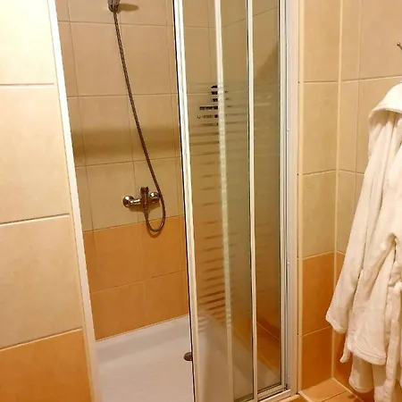 Palac Pod Debami מלון *