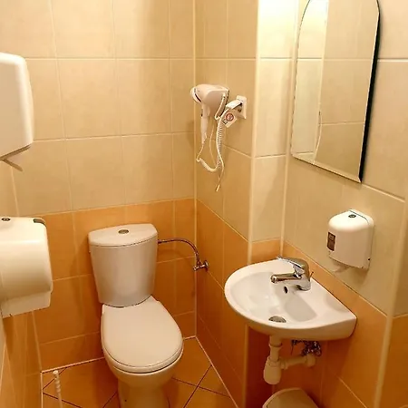 Palac Pod Debami Zalasowa