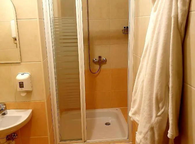 Palac Pod Debami Hotel Zalasowa