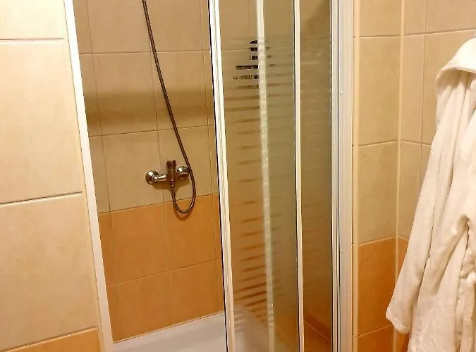 Palac Pod Debami Hotel *